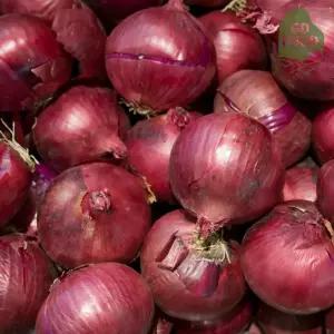 건담농수산 황토 무안 자색양파 소미니혼합 3KG 전라도 장아찌용 3키로