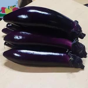 국내산 가지 못난이가지 상 특 5kg