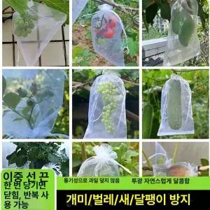 포도봉지 100장 방충 매쉬 과수원 과일 사과 배 봉투