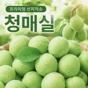 산지당일수확 프리미엄 대용량매실청용 청매실 10kg