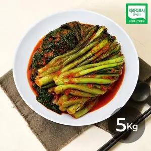 [NS홈쇼핑]돌산삼채갓김치1kg*5팩[35956392]