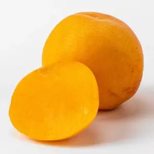 새콤달콤 살구 1kg 중