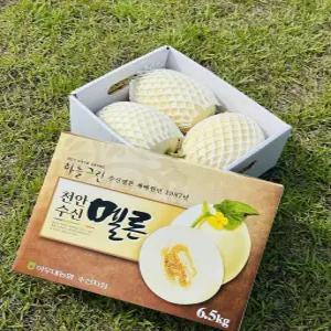 천안 수신멜론 홈런스타 메론 특품 6.5kg