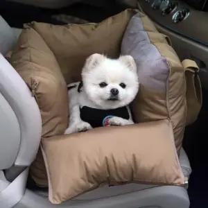 차량용애견시트 펫시트 펫카시트 베이지