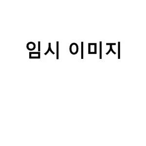 정성곳간 강순의 명인 총각김치 2kg