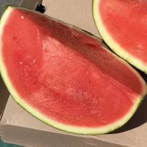 고당도 씨없는 수박 6kg