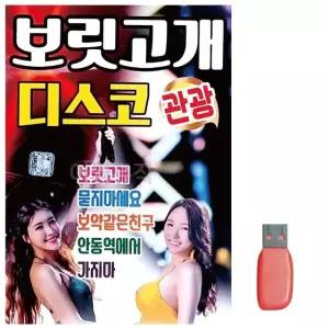 USB 보릿고개 관광 디스코 81곡 USB음반 7080노래USB (WA0A1C6)