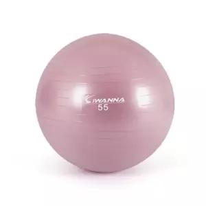 아이워너 안티버스트 파스텔 짐볼 55cm 와일드핑크 (W8D1A56)
