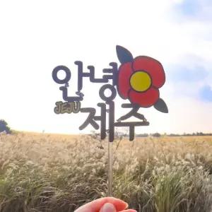 안녕 제주 여행 토퍼 폴라로이드 감성소품 인증샷 제주토퍼 제주여행 (WD8B070)