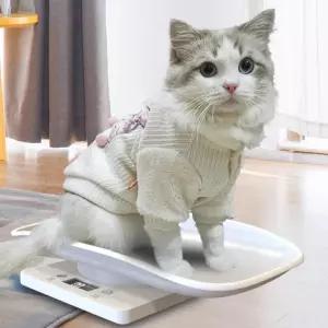 강아지 체중계 전자 고양이 동물체중계 반려동물 소형