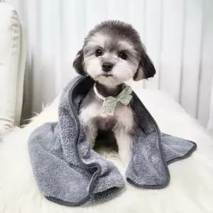 초극세사 펫타올 목욕 강아지 수건 고양이 타월 40x50 (WAA88E9)
