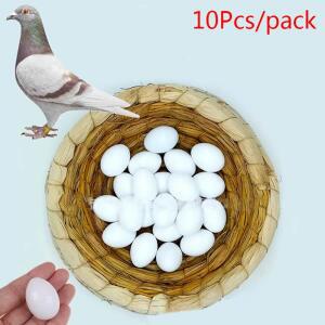 10pcs  더미  계란 부화 용품 화이트  플라스틱 비둘기
