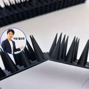 지금 필요한 1개 낱개 버드스파이크 비둘기퇴치 퇴치