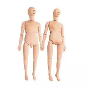 실습용 인체 더미 교육 마네킹 교구 전신 모델 모형