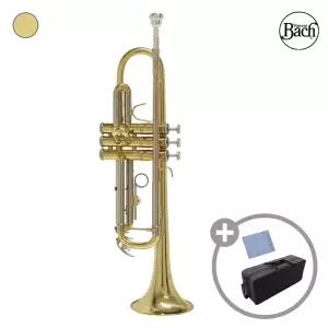 바하 트럼펫 Bach Trumpet TR650 / TR-650 한국정품