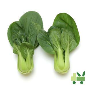 청경채 8Kg