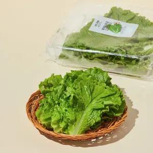 로메인 상추 (150g)