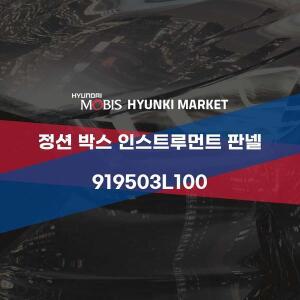 [현대모비스]정션 박스 인스트루먼트 판넬 (919503L100) 현대모비스부품몰