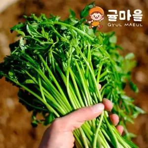 [귤마을] 향긋한 손질 세척 미나리 2kg