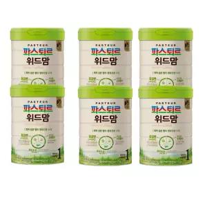 파스퇴르 위드맘 1단계 750g 6개