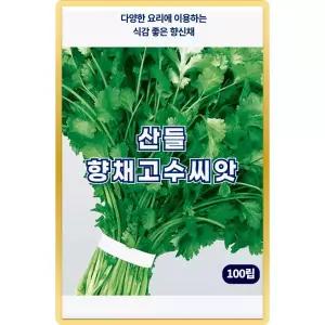 산들 향채 고수 씨앗 100립 특색있는 향신채 고수씨 종자