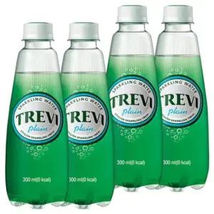 롯데 트레비 플레인 300ml x 40PET (20펫x2박스)