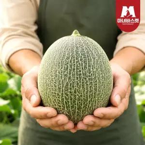 산지직송 국내산 경북고령 고당도 멜론 하미과 메론 로얄과 5kg (5~7과 내외)