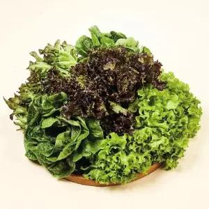 (카)GAP 무농약 유러피안 샐러드 쌈채소 1kg (3-6종)