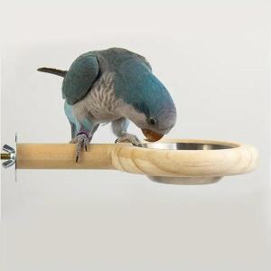 앵무새 일종 Cockatiel 케이지 액세서리 음식  물 먹이 그릇과 새 나무 스탠드 퍼치