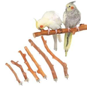 Natural Parrot Stand Tree Stick Birds Perch Paw Grinding Fork Parakeet Climbing Branches Toys Birdca