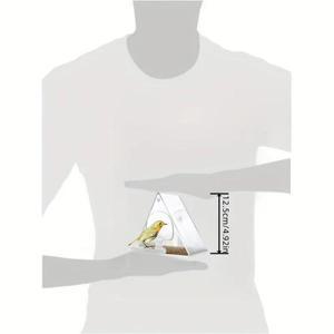창문 새 모이통 초 흡착컵 정원 마당 야외용 내후성 디자인 삼각형 아크릴