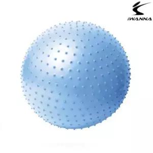 마사지 알라스칸블루 짐볼 65cm 다이어트