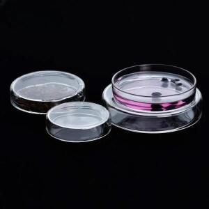 유리 페트리 접시 60mm/75mm/90mm/100mm/120mm/150mm/180mm/200mm 세포 배양 실험실 용품에 저렴한 고붕규