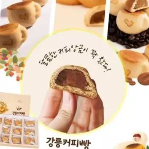 강릉 커피콩빵 강원도 특산물 커피빵 앙꼬선물 12개입