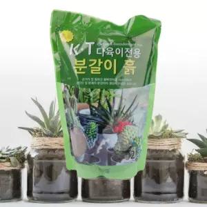 아가베분갈이흙 펄라이트 분갈이토양 원예용 배양토 2.5L 영양제 알뜰한
