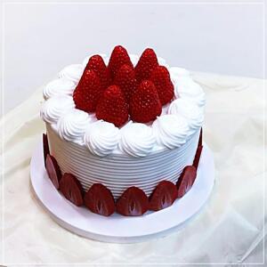 케이크 생일 촬영 케? 생크림 모형 모조 학교 가짜 소품 유치원 축하 케익 데코 스튜디오