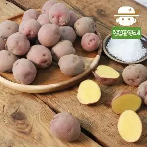 [삼촌밥먹자][함안직송] 속노란 홍감자 카스테라감자(대특) 5kg