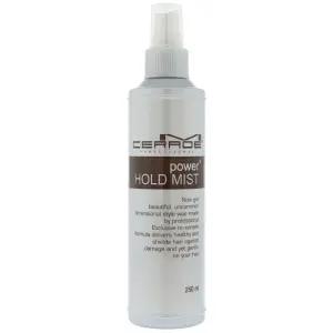 소망 엠세라드 파워 홀드 미스트 250ml
