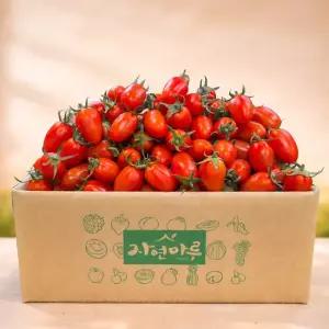 충남 부여 대추방울토마토 3~4번과 2kg /2세트 주문시 5kg 발송