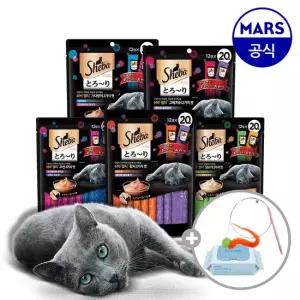 쉬바 멜티 2가지맛 40p+고양이낚시대+베베숲물티슈
