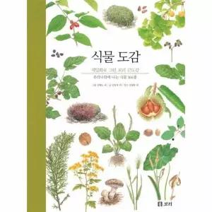 식물 도감 - 우리나라에 나는 식물 366종 - 세밀화로 그린 보리 큰도감 (양장)