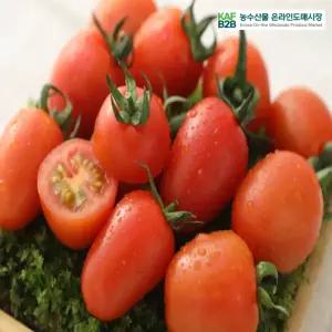 [감동마토 총 2kg] GAP인증 대추방울토마토 스테비아 대추방울토마토