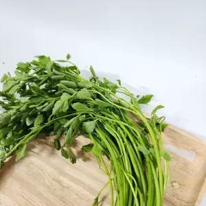당일수확 나주 돌미나리 4kg 업소용