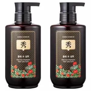 댕기머리 오리지널 두피관리 각질제거 들애수 샴푸액 500ml 2개