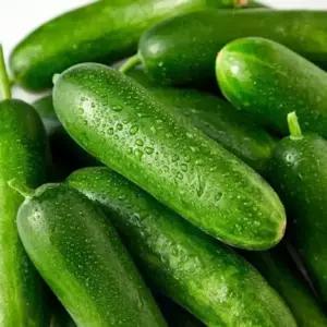 경북 아삭 청량 스낵오이 미니오이 1.5kg (30개 내외) 1개
