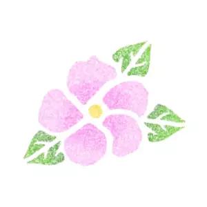 우돌아트 스텐실 도안 1509 우리나라 무궁화 꽃 (소)