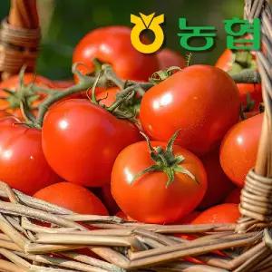 임실농협 완숙 토마토 5kg 유럽종 당일수확