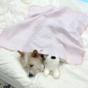 [꼴레트멍멍](김해점)강아지 여름 이불 쿨링 양면 블랭킷 듀라론 핑크
