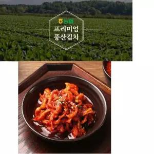 농협 풍산김치 무말랭이 무곤짠지 짱아찌 1kg 학교 맛있는 밥반찬 김치 안주 원산지