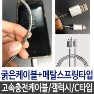 고품질 고속 핸드폰 케이블 충전케이블 c타입 갤럭시 S8 실버 (W1C24AB)